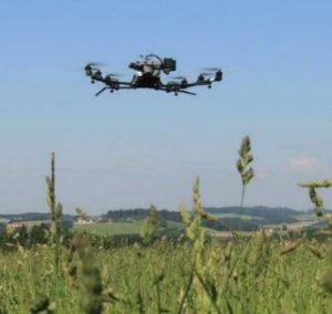 Wildtierrettung mit Drohne, 6.4.2023